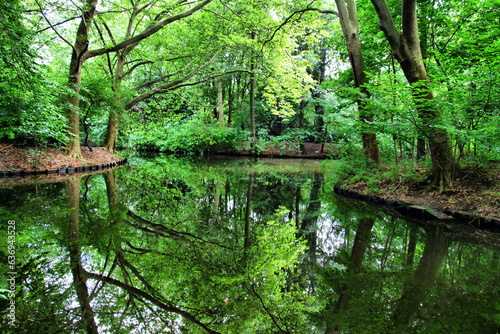 Tiergarten - Berlin / Germany - green park with ponds and reflections of trees on the water