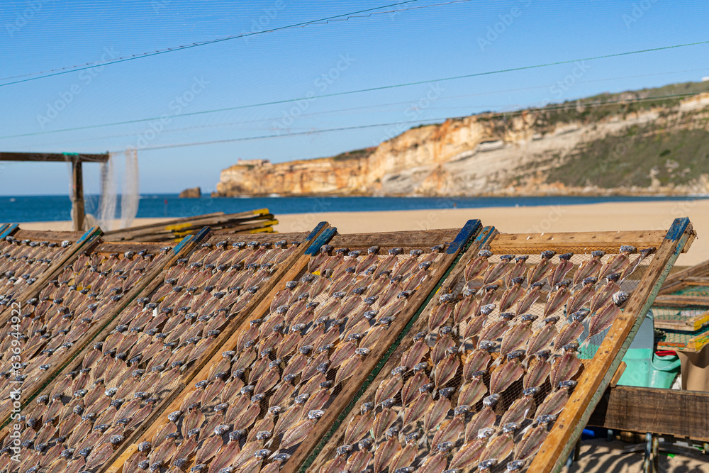 Dried fish in the open air. Traditional seafood drying in the fishing village of Nazare on the shores of the Atlantic Ocean, Portugal.