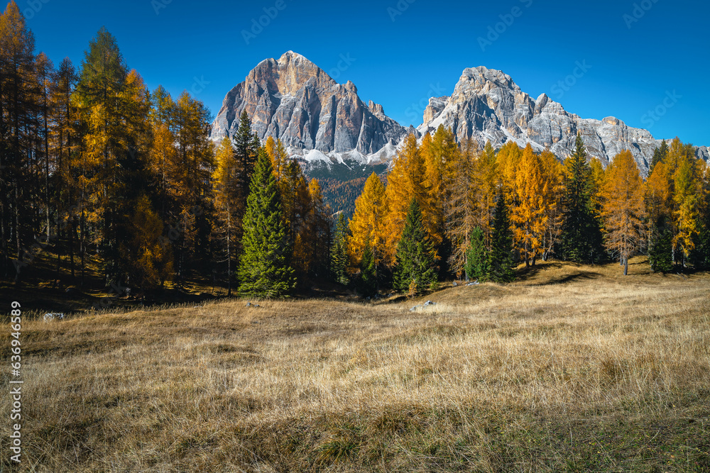 Autumn larch forest and beautiful mountain peaks in the Dolomites