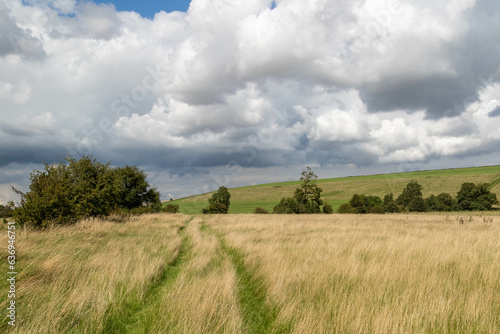 A public bridle path through a field © Ben Gingell