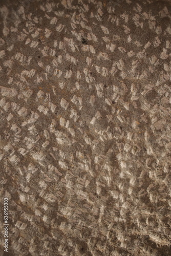 wall texture
