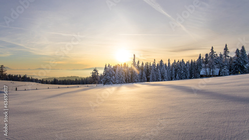 Untouched winter landscape with deep snow during sunset on a mountain pasture in Austria