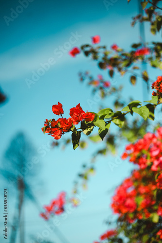 summer 