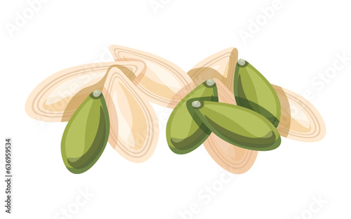 Delicious pumpkin seeds isolated on white background. Vector illustration of a tasty handful of peeled and shelled pumpkin seeds in cartoon style. Pumpkin seeds icon. Healthy, organic snacks.