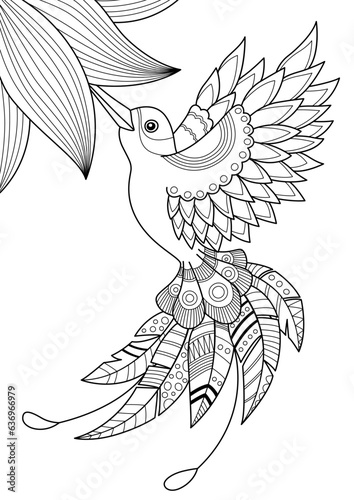 Hummingbird doodle coloring book page. Black and white vector zentangle illustration.