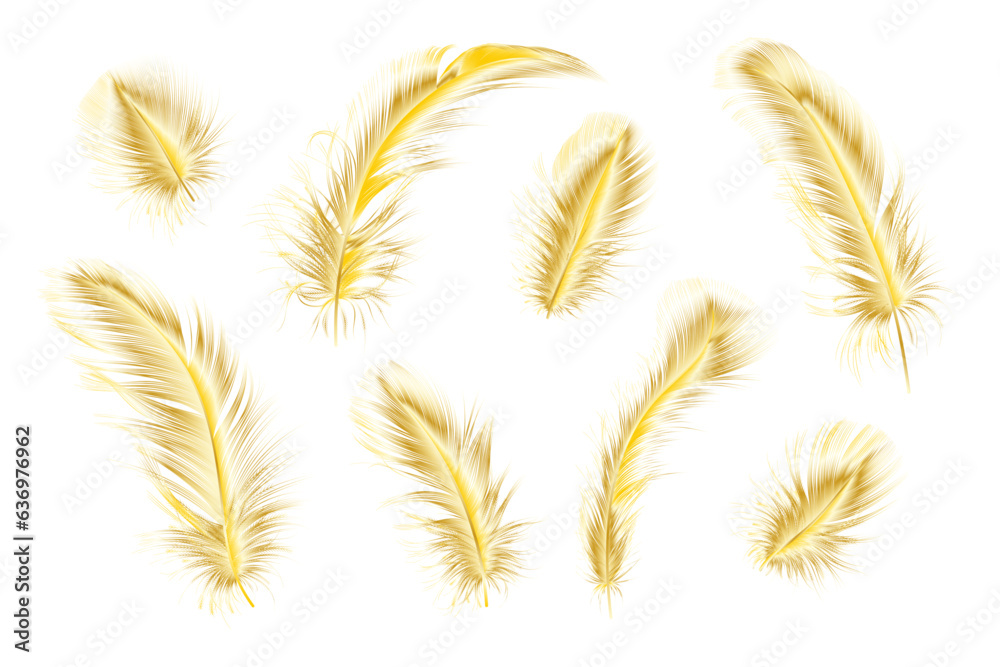 Set of gold feather. Vector illustration. Set of gold feather. Vector illustration.