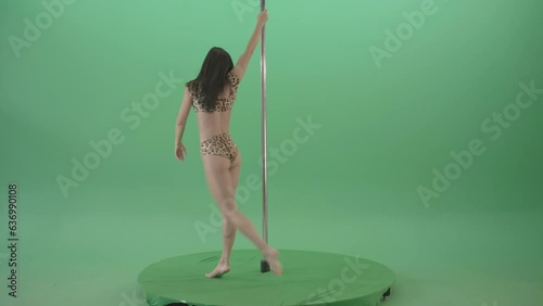Glamor girl in leopard underwear dancing on pilon Pole dance and spinning isolated on Green Screen - Video Footage photo