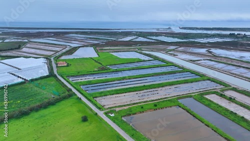 Greenhouses in the area of salt pans and marshes in Tavira in the district of Faro. Aerial view from a drone. Marshes and salt flats of the Ria Formosa Natural Park. Atlantic Ocean. Algarve. Portugal.
