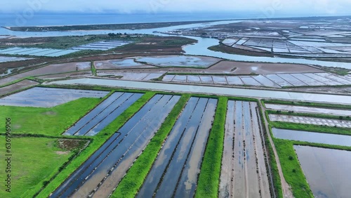 Greenhouses in the area of salt pans and marshes in Tavira in the district of Faro. Aerial view from a drone. Marshes and salt flats of the Ria Formosa Natural Park. Atlantic Ocean. Algarve. Portugal.