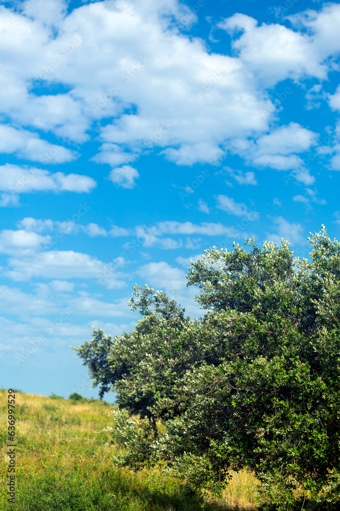 Paysage de campagne