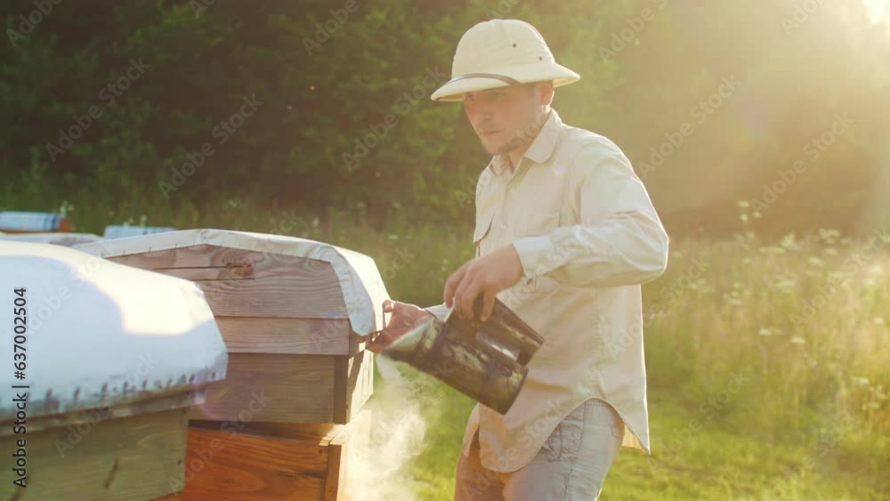 Beekeeping, bee farm and farmer with smoke machine for honey, honeycomb and pollen production. Sustainable farming, agriculture and beekeeper smoking hive harvesting produce, organic and natural food Beekeeping, bee farm and farmer with smoke machine for honey, honeycomb and pollen production. Sustainable farming, agriculture and beekeeper smoking hive harvesting produce, organic and natural food