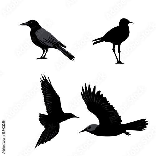 vector black illustration of birds collection on white background