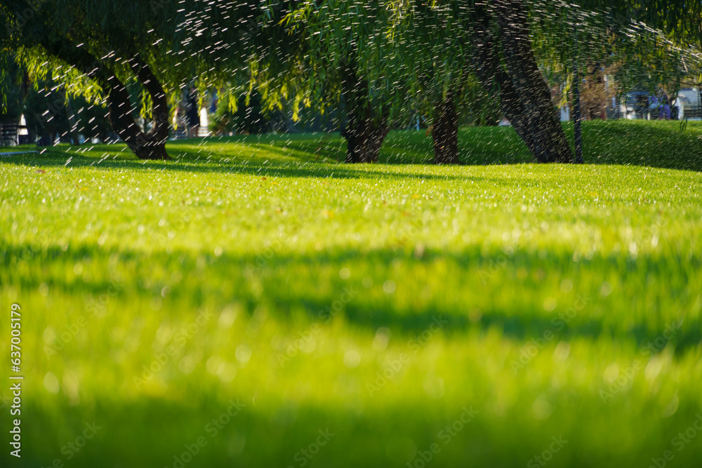 watering the lawn in the city park, splashing water, bright sunlight on the green grass, trees in the shade, a beautiful summer landscape watering the lawn in the city park, splashing water, bright sunlight on the green grass, trees in the shade, a beautiful summer landscape