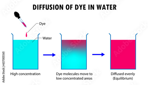 Diagram of the process of diffusion, movement of particles from highly concentrated area to low concentrated areas