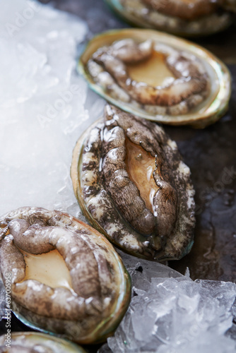 fresh abalone on a plate