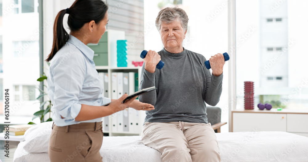 Fototapeta premium Physical therapy, senior patient with dumbbells and chiropractor with tablet, monitor progress and exercise. Help, support and women at clinic, weightlifting and elderly care with health and physio