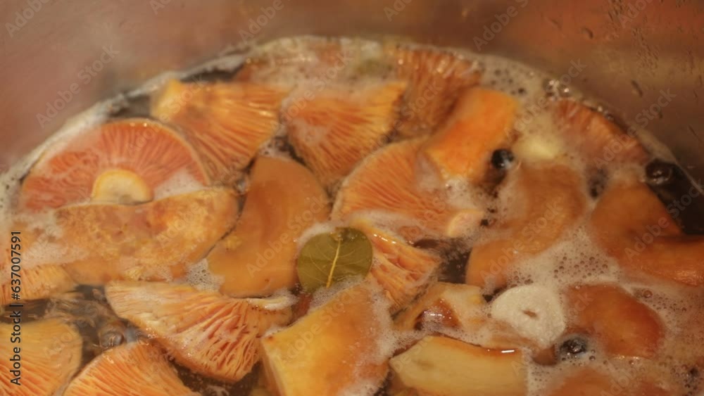 Edible mushrooms saffron milk cap boil in a pot. Close-up video. Laurel leaf, garlic, pepper. Salting mushrooms. Preservation of mushrooms. Mushroom soup. Edible mushrooms saffron milk cap boil in a pot. Close-up video. Laurel leaf, garlic, pepper. Salting mushrooms. Preservation of mushrooms. Mushroom soup.