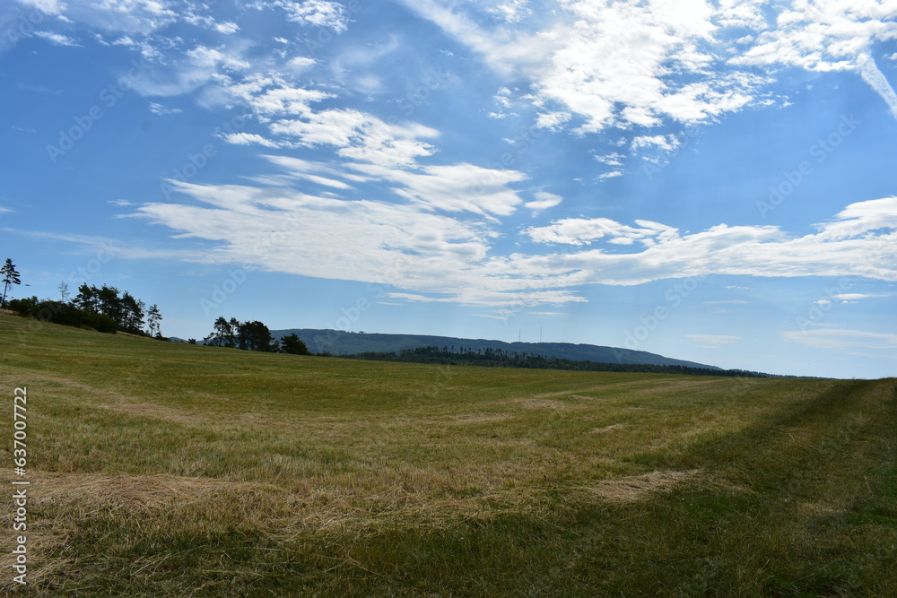 Werra-Meißner-Kreis-Natur-Landschaft-Felder-Blumen-Wald