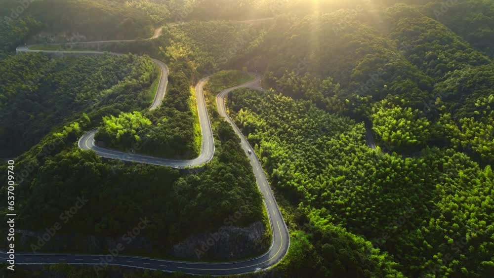 Aerial view of curve road through green forest on mountain