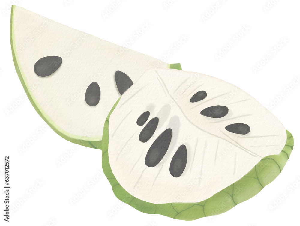Fototapeta premium custard apple watercolor