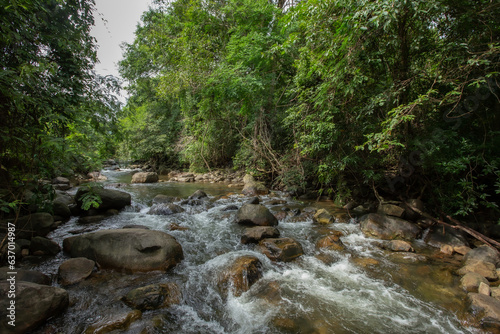 Forest, Waterfall, Lake, Landscape - Scenery, Scenics - Nature