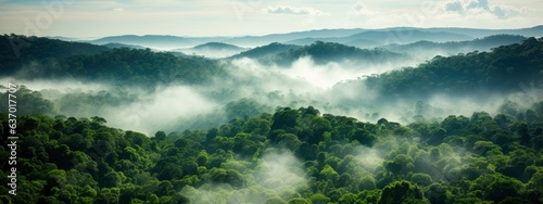 Fotografering Sustainability net zero carbon negative forest nature Biodiversity Diversity, Ge