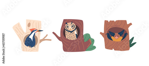 Owl, Woodpecker And Bat In Hollows, Seeking Shelter And Safety. These Natural Crevices Provide A Secure Home