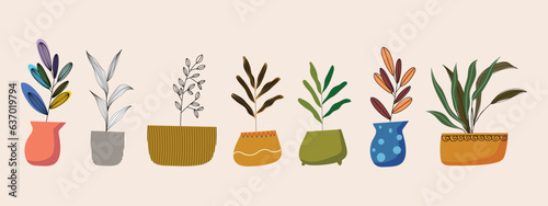 Set of house plants and flowers in pots, vases vector illustration. Home garden concept in flat design.