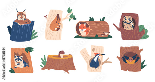 Animals And Birds Living In Hollows. Lynx, Squirrel, Fox And Owl. Raccoon, Ferret, Woodpecker And Bat