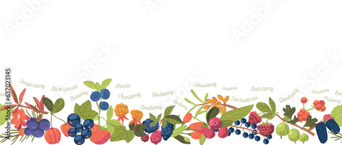 Seamless Pattern with Berries. Juniper, Black Currant, Blueberry and Acerola. Cranberry, Cloudberry, Blackberry or Godji