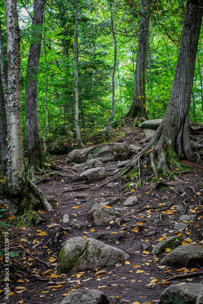 Kawishiwi Trail Kawishiwi Trail