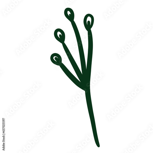 Botanical
