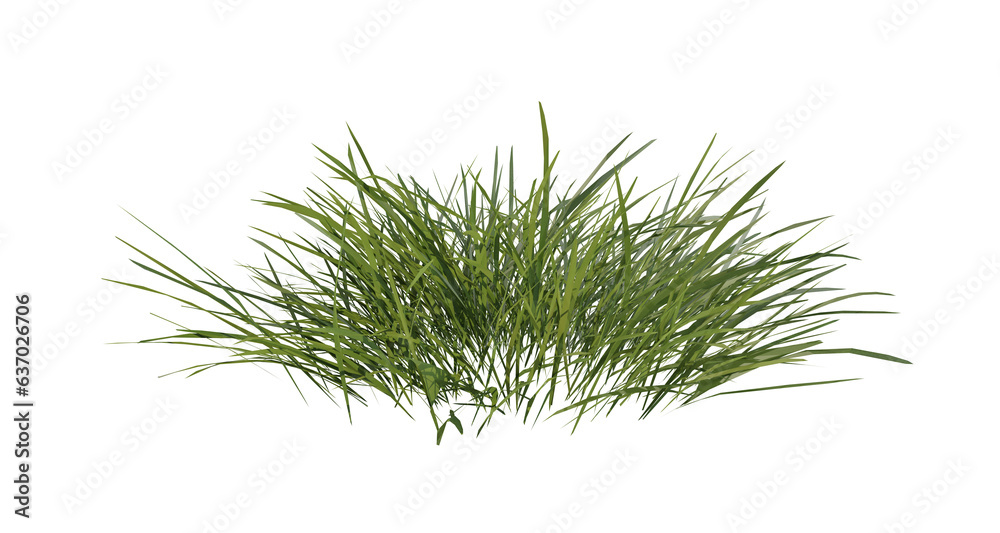 Bunches of grass on a transparent background. 3D rendering.	 - obrazy, fototapety, plakaty 