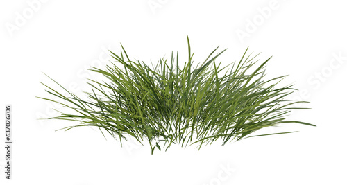 Bunches of grass on a transparent background. 3D rendering.	