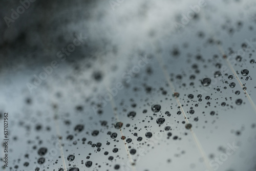 Water droplet on the car glass with hydrophobic treatment