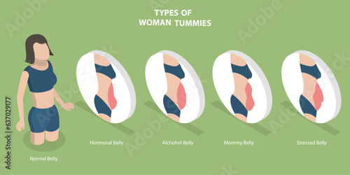 3D Isometric Flat Vector Conceptual Illustration of Types Of Woman Tummies, Cellulite and Saggy Belly