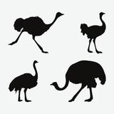 Graceful Ostrich Silhouettes Set, Majestic Avian Form in Artistic Shadows for Diverse Design Use