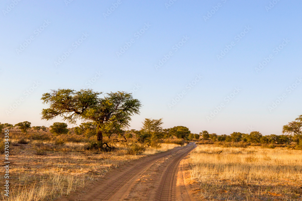 Open dirt road in the Kgalagadi Transfrontier Park, Kalahari, South Africa Open dirt road in the Kgalagadi Transfrontier Park, Kalahari, South Africa