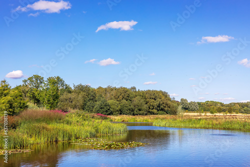 Scenic view of a small lake at the RHS Garden Bridgewater near Manchester, UK.
