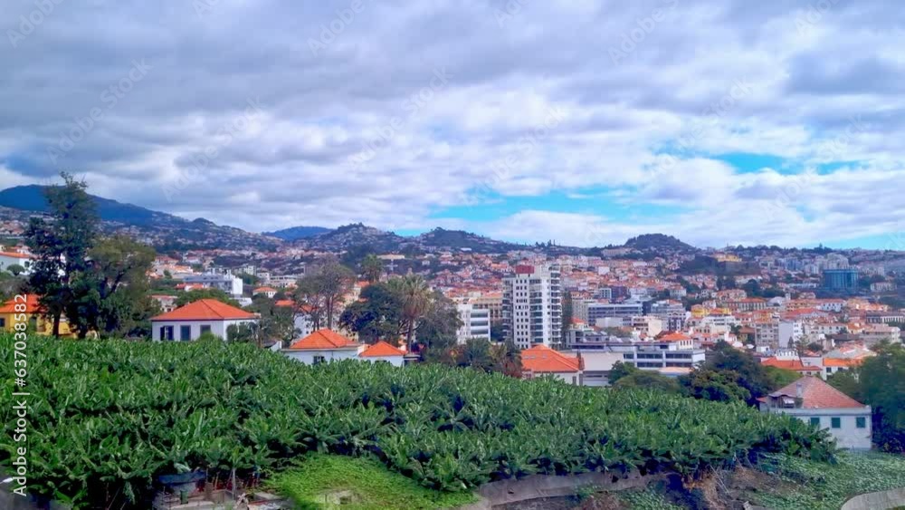 Beautiful view of the houses on the slope of the island of Madeira Beautiful view of the houses on the slope of the island of Madeira