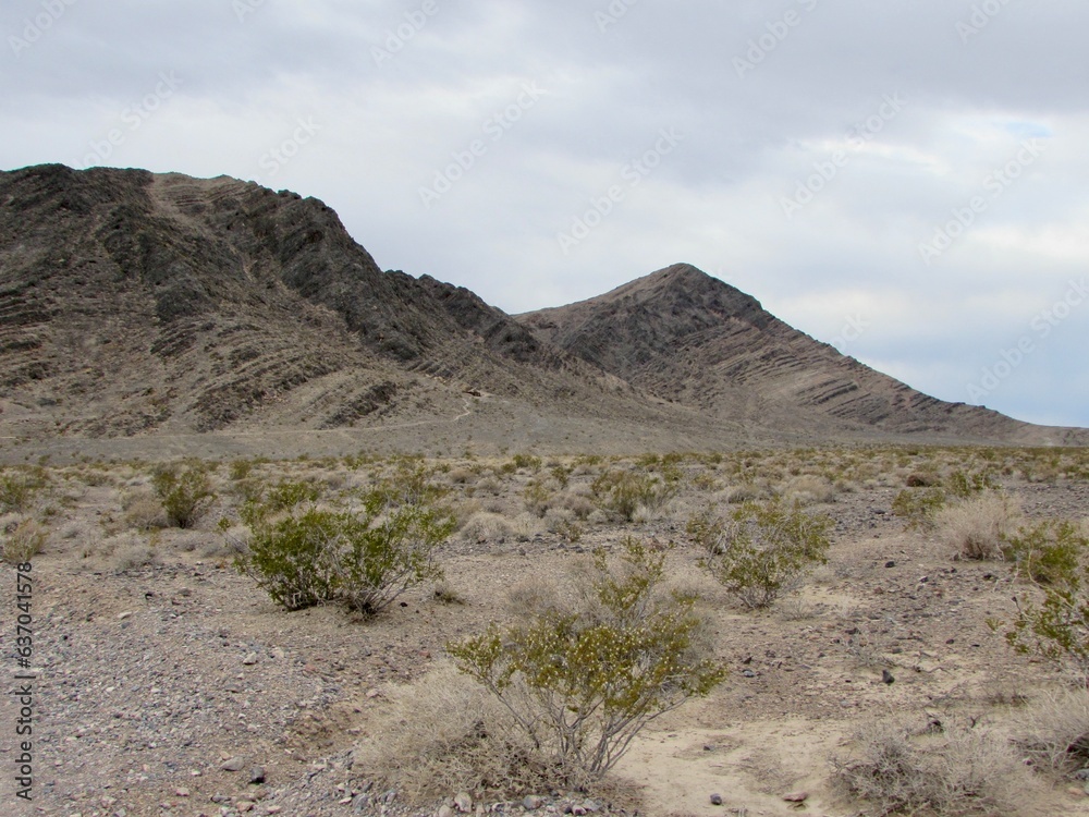 Arid Mountain View in Ash Meadows National Wildlife Refuge in Nevada