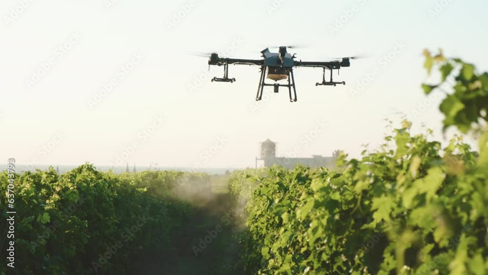 Agriculture smart drone fly spraying fertilizer on vineyards