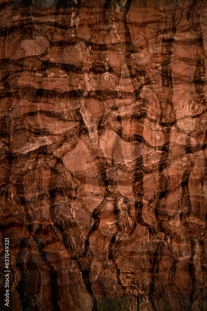 Fototapeta premium original texture, woody background.