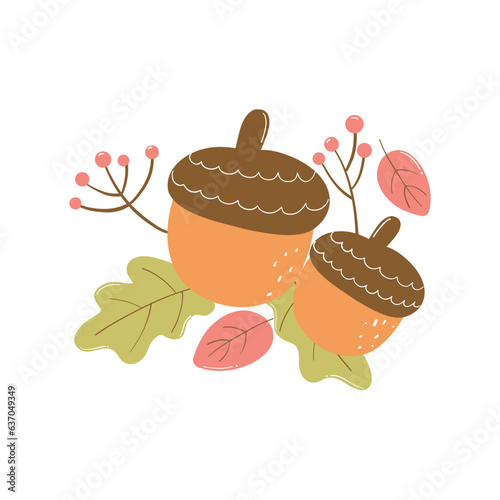 Autumn acorns