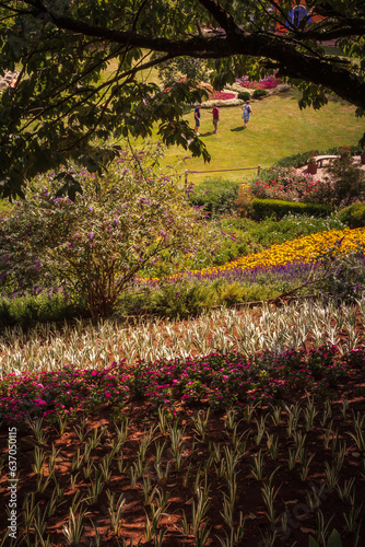 Wallpaper Mural Landscape-Field-of-Flowers-in-the-Mountains Torontodigital.ca