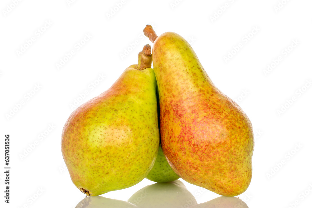 Three organic juicy pears, close-up, on a white background. Three organic juicy pears, close-up, on a white background.
