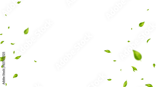 Green flying leaves frame. Leaf falling. Wave foliage ornament. Vegan, eco, organic design element. Cosmetic pattern border. Fresh tea background. Beauty product. Wedding decor. Vector illustration
