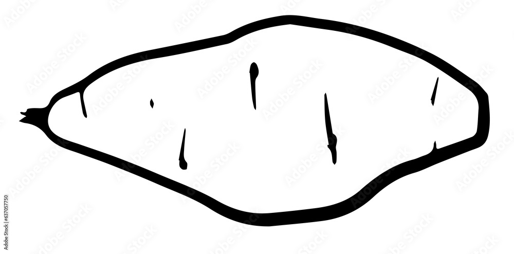 Sweet potato. Monochrome Fresh organic vegetable tuber for farm market, product pakage and shop design. Vector outline doodle illustration isolated on white background. Sweet potato. Monochrome Fresh organic vegetable tuber for farm market, product pakage and shop design. Vector outline doodle illustration isolated on white background.