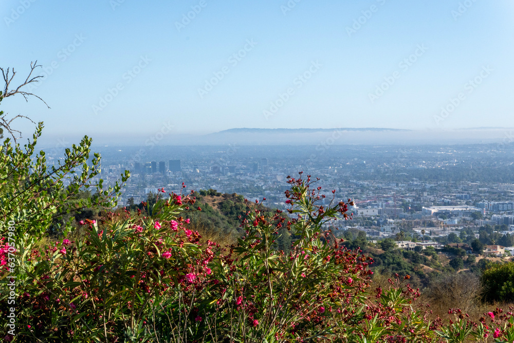Los Angeles from Mountain Heights