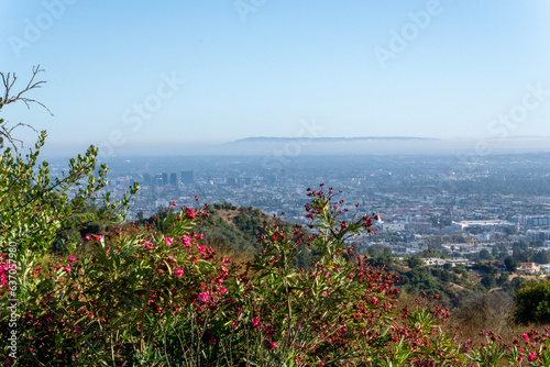 Los Angeles from Mountain Heights